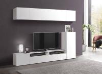 шкаф многоцелевого назначения Прага-5 белый/ПВХ белый глянец снег