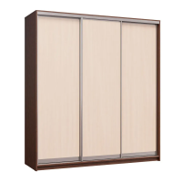 шкаф-купе Мираж-20.2 венге/дуб млечный (без зеркал)