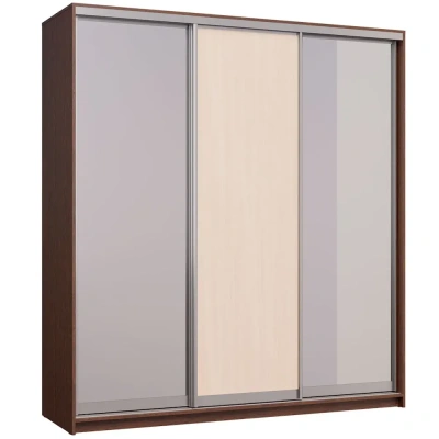 шкаф-купе Мираж-20.1.1 венге/дуб млечный (2 зеркала)