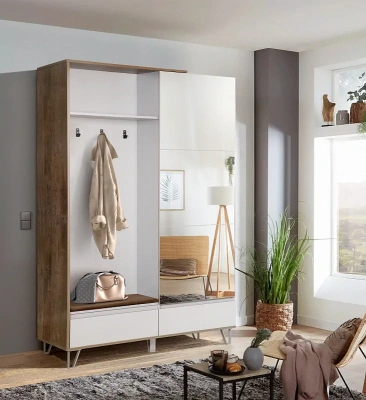 шкаф для одежды 58.18 Гавана с зеркалом (кейптаун / серый / ткань велюр велутто коричневый / ДВПО белый)